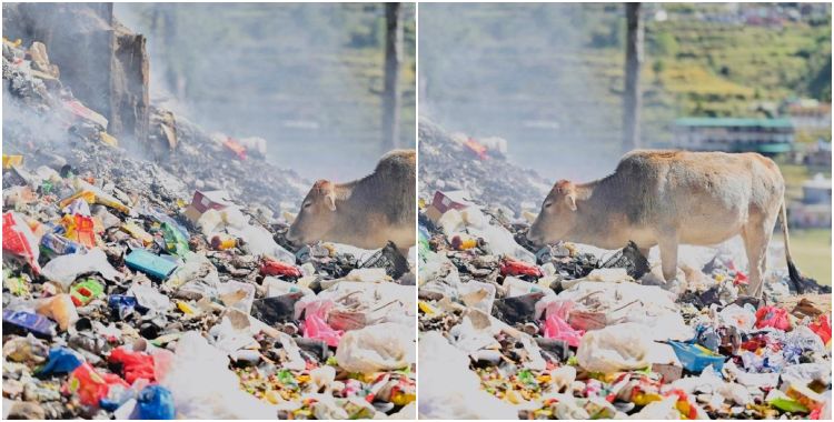 image: Plastic is spoiling the Himalayas government disobeying court orders