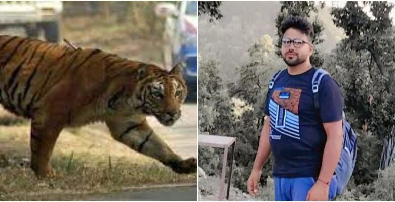 image: Tiger attack on young man sitting behind bike in Nainital